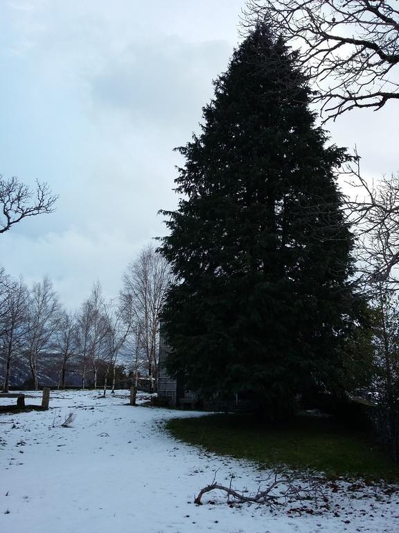Вилла Casa Da Corga Portela  Экстерьер фото